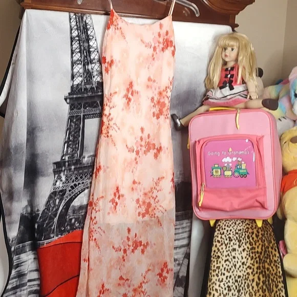 Pink Long Dress - Picture 1 of 11